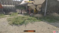 Lost Honour horse location