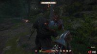 Success with polearms relies on being able to land combos, which makes polearms very stamina-intensive weapons to use… and early on they’re painfully slow to swing.