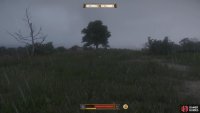 Head over to this tree which is located to the east of Pschitoky