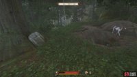Now, go northeast until you reach the large tree with the stone slab in front of it. The entrance can be found in front of it.