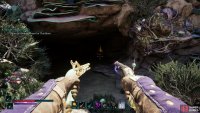 This cave has the treasure.