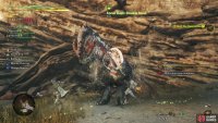 Complete chapter 3 and everything that spawns in the Forbidden Lands will be high-rank monsters - hunt these strong variants,