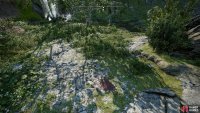 North of the arrow-filled corpse you’ll find some blood,