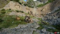 Follow the stream under the bridge and turn south to find a landslide,