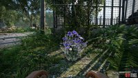 The area near the Wyndham Village entrance in Casterfell Woods can spawn herbs.