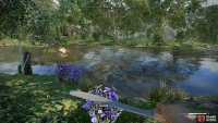 Look out for water bodies because they tend to have herbs nearby.