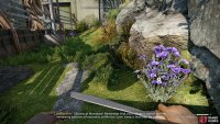 Herbs can be found near the entrance to Skethermoor.