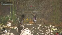 Unlike the others, she’ll be using a kusarigama as a weapon.