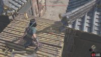 Wait until the Daisho walks in between the two buildings shown here to assassinate him.
