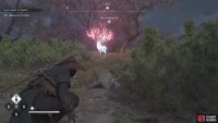 If you locate the Sakura Meadow, then you’ll find this animal at night there.