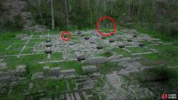 Note the location of the cresset in the far corner (big circle) and the sneaky crab (small circle) where you need to place a white stone!
