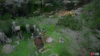 pick up a white stone near the cresset,