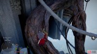 Climb a root to reach another section of ruins,
