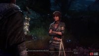 Talk to your companions in camp after every story dungeon,