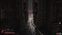 The Blood Ward can be found by opening the Benediction Gate in the Featherfall Marsh area of Chapter 5. Image via Gamer Guides / 505 Games.