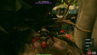 Defeat Nitro and then follow the branches pathway down that takes you through more Dead Root pathways you want to crunch through. Image via Gamer Guides / Obsidian.