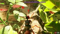 Exit the first bush area via the Crunched Dead Roots and take the twig path that leads to the Ribbon, then follow that along. Image via Gamer Guides / Obsidian.