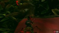 Follow the ribbon into the bushes again, and follow the branches over the next lab area. Image via Gamer Guides / Obsidian.