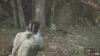 There are a few plants in Dremuchij South you want to grab for the Cure menu.