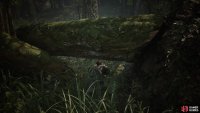 Go prone to crawl underneath the log at the start.