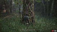 Press the action button when you get close to the tree to climb it.