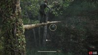 Your backpack is hanging from the tree, so walk over to it and drop down to collect it.