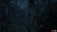 The Flying Squirrel is annoying to find, since it will move around a lot.