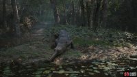 It&rsquo;s a good idea to put the Gavial to sleep first, before you knife it.
