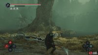 From the APC, take the path to your left until you reach the ruins. Go around the right of the ruins to find a small island.
