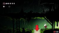 Right outside of the Moss Druid&rsquo;s home, drop down into this hole.