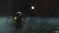 enter the bamboo forest maze,