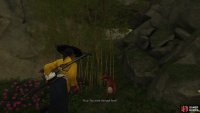 Follow the fox to - and cut through - some bamboo,