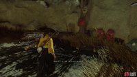 down a path along which you&rsquo;ll find another chest,