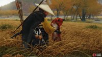 Follow the fox, pick up the treasures it leads you to, and pet the fox each time,