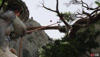 pull down a branch,