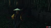 and follow paths marked by spider lily flowers,