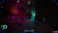 find a passage with red Feather Kelp growing outside and inside,