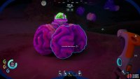 while Acidic Raion Pouches can be harvested from odd pink plants that grow&hellip; pretty much everywhere, including near th Lifepod.