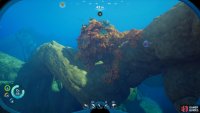 but to find Quartz more reliably, look for Coral Domes,