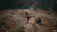 Defeat the Pack Leader miniboss and its subordinate wolves,