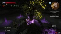 and Yrden can trap the bugs, allowing you to score cheap hits.