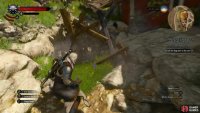 Use Aard to reveal the entrance to a wine cave,