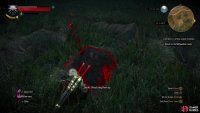 Before you return to Quartermaster Eggebracht, however, search the Wyvern’s feeding grounds to find some graves,