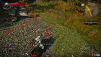 Find the Nilfgaardian camp and use your Witcher senses to pick up some tracks.