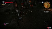 Many of the Witch Hunters are skilled combatants - make use of counterattacks and Quen to create openings and absorb damage, respecively.