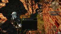 then scour the northwestern edge of the ruins to find a chest containing the diagram for the Enhanced Griffin Boots.