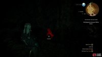 Defeat some weak Ghouls and search a cavern to find a Dragonsroot,