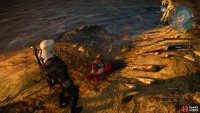 Loot a corpse on the shore near a bridge to find the Temerian Lily Key,