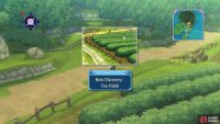 Don&rsquo;t forget to get the Tea Fields discovery while you&rsquo;re going back to town.