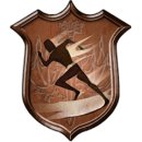 Trophy/Achievement Icon
